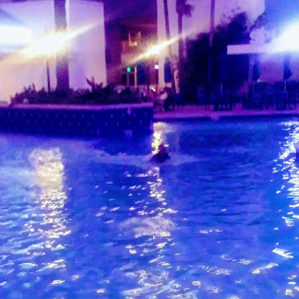 Meet your Posher, Deedee